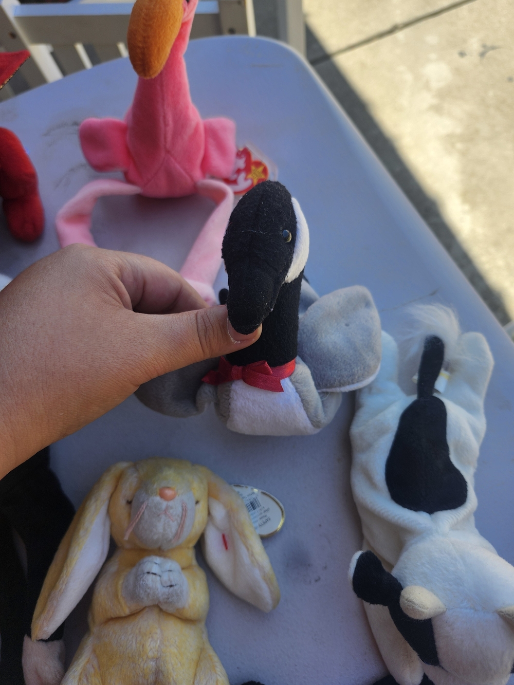 Beanie Babies - Picture 5 of 7